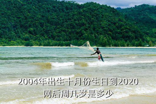 04年多少歲，2004年11月16出生幾歲了