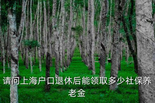 請(qǐng)問上海戶口退休后能領(lǐng)取多少社保養(yǎng)老金