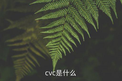 cvc是什么