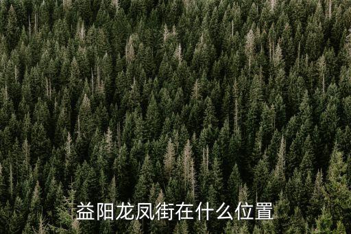 三仙湖鎮(zhèn)，益陽龍鳳街在什么位置
