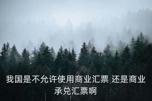 我國(guó)是不允許使用商業(yè)匯票 還是商業(yè)承兌匯票啊