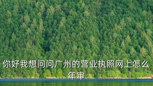 你好我想問問廣州的營業(yè)執(zhí)照網(wǎng)上怎么年審