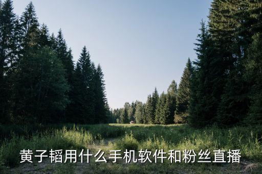 黃直播軟件，比較有名的h播平臺(tái)