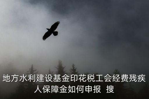 地方水利建設基金印花稅工會經費殘疾人保障金如何申報  搜