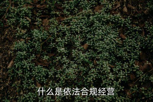 什么是依法合規(guī)經(jīng)營