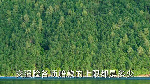 交強(qiáng)險(xiǎn)各項(xiàng)賠款的上限都是多少