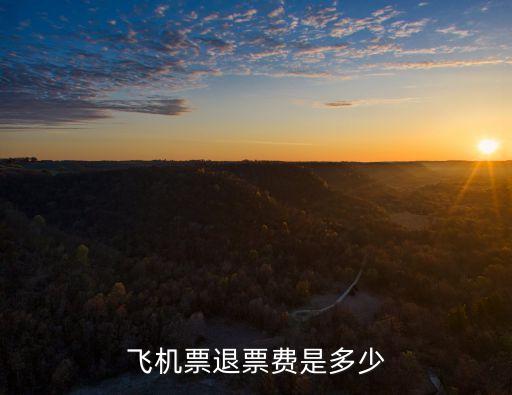 飛機(jī)票退票費(fèi)是多少