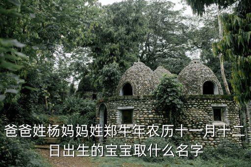鄭曉琴，爸爸姓楊媽媽姓鄭牛年農(nóng)歷十一月十二日出生的寶寶取什么名字