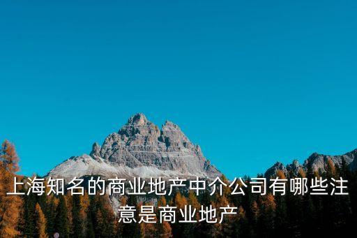 上海知名的商業(yè)地產中介公司有哪些注意是商業(yè)地產
