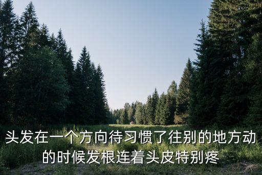 頭發(fā)在一個(gè)方向待習(xí)慣了往別的地方動的時(shí)候發(fā)根連著頭皮特別疼