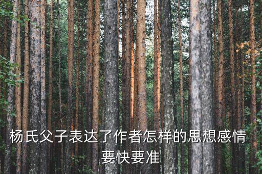 楊氏父子，楊氏之子父和兒子分別叫什么