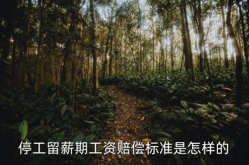 停工留薪，停工留薪期工資賠償標準是怎樣的