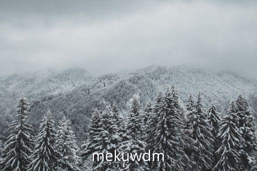 mekuwdm