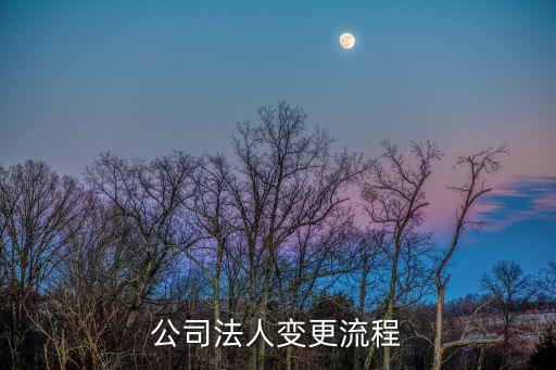 企業(yè)法人變更流程，公司法人變更流程