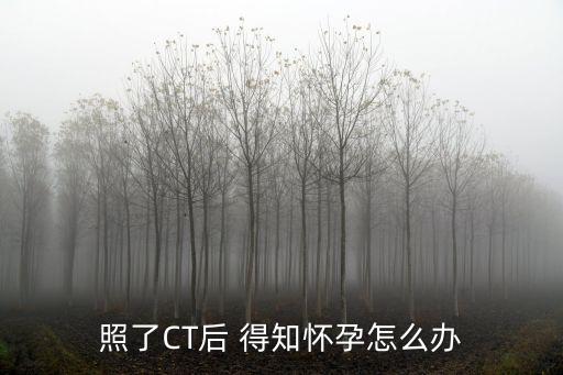 照了CT后 得知懷孕怎么辦