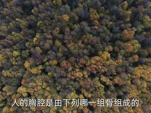 人的胸腔是由下列哪一組骨組成的