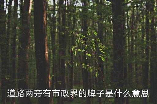 道路兩旁有市政界的牌子是什么意思