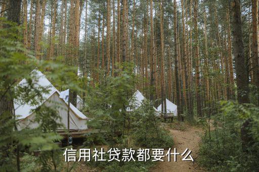 信用社貸款，信用社貸款條件我是云南紅河州人我男朋友要貸款我是事業(yè)單