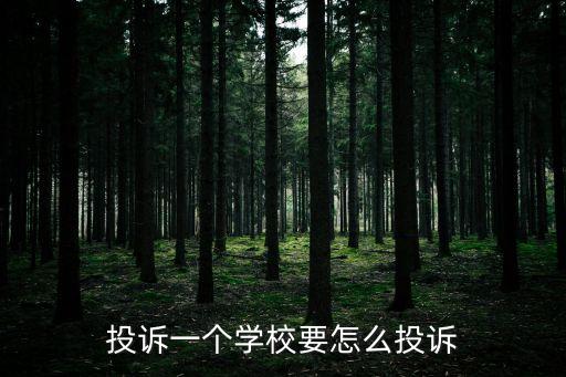 投訴一個學(xué)校要怎么投訴