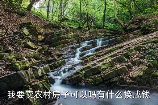 我要賣農(nóng)村房子可以嗎有什么換成錢