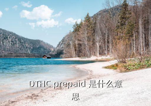 DTHC prepaid 是什么意思