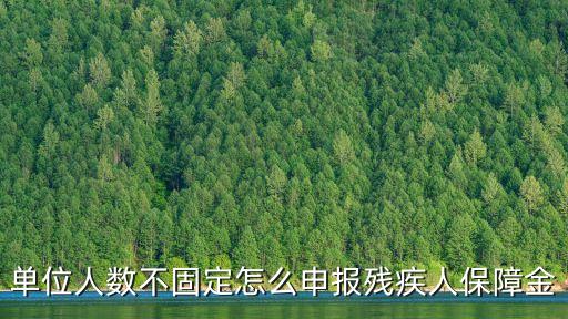 殘保金怎么申報，地方水利建設(shè)基金印花稅工會經(jīng)費殘疾人保障金如何申報  搜