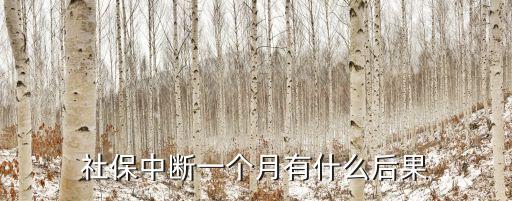 社保斷交一個月有什么影響，社保停交一個月有什么影響