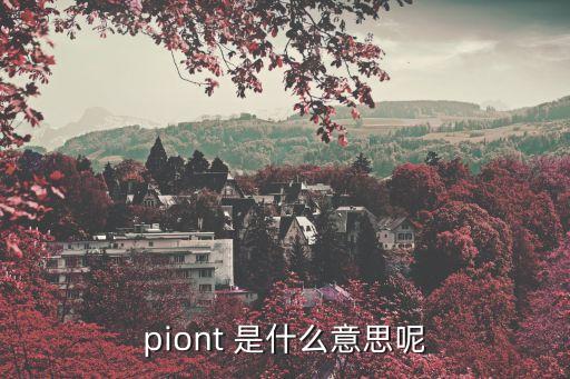 接觸點(diǎn)，piont 是什么意思呢