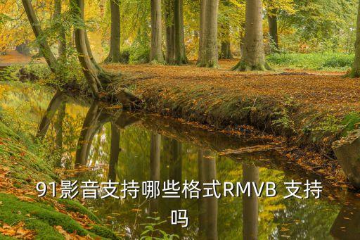91影，91影音支持哪些格式RMVB 支持嗎