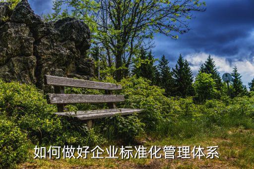 如何做好企業(yè)標(biāo)準(zhǔn)化管理體系