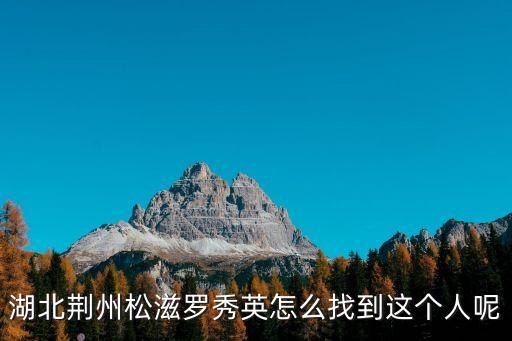 羅秀英，6222 0019 1310 0281 507該用戶的名字是羅秀英 好象是工行的