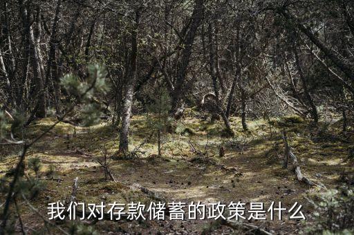 貼息政策，我國對非公有制經(jīng)濟(jì)的政策是什么