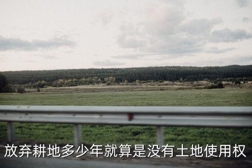 棄耕地，土地幾年不耕種算棄耕