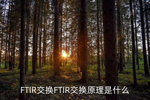 FTIR交換FTIR交換原理是什么