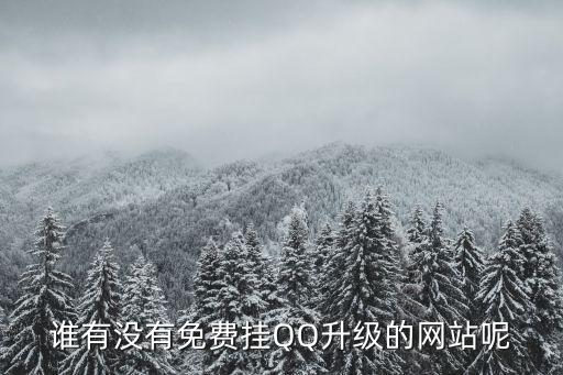 誰(shuí)有沒(méi)有免費(fèi)掛QQ升級(jí)的網(wǎng)站呢