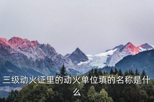 三級動火，三級動火證里的動火單位填的名稱是什么