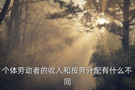 個體勞動者，個體勞動者的收入和按勞分配有什么不同