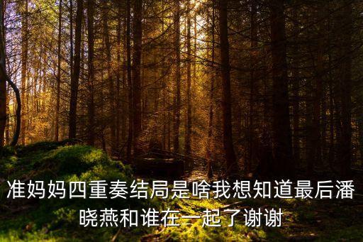 潘曉燕，潘曉燕的介紹