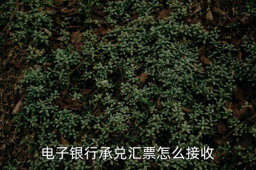 電子承兌怎么簽收，電子銀行承兌匯票該怎么接收