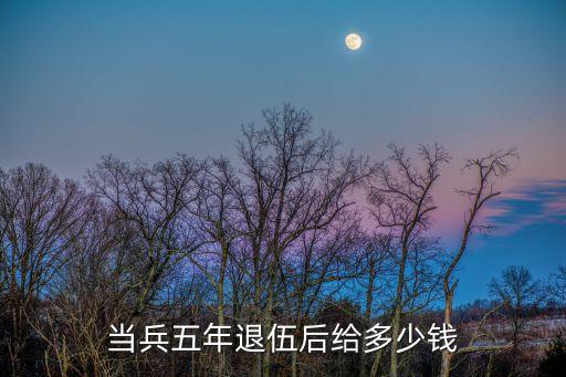 當兵五年退伍后給多少錢