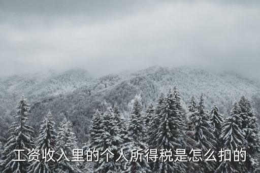 工資收入里的個人所得稅是怎么扣的