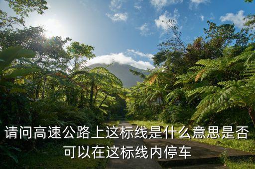 高速臨時停車標志，請問高速公路上這標線是什么意思是否可以在這標線內(nèi)停車