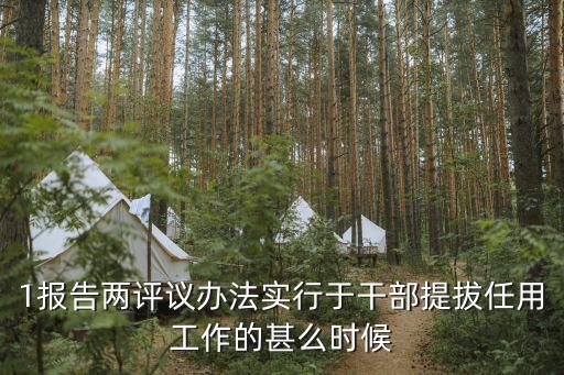 1報(bào)告兩評(píng)議辦法實(shí)行于干部提拔任用工作的甚么時(shí)候