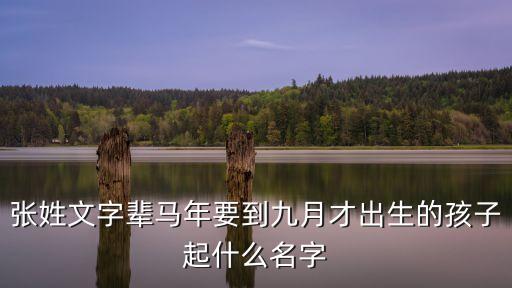 張文彥，張文彥和張籽辰哪個(gè)名字好