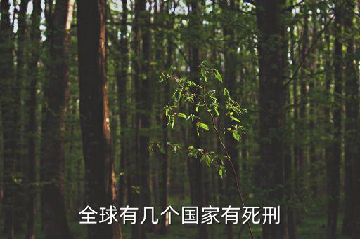有死刑的國家，全球有幾個國家有死刑