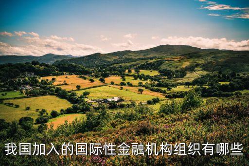 我國(guó)加入的國(guó)際性金融機(jī)構(gòu)組織有哪些