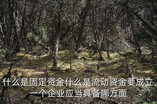 什么是固定資金什么是流動資金要成立一個企業(yè)應(yīng)當具備哪方面