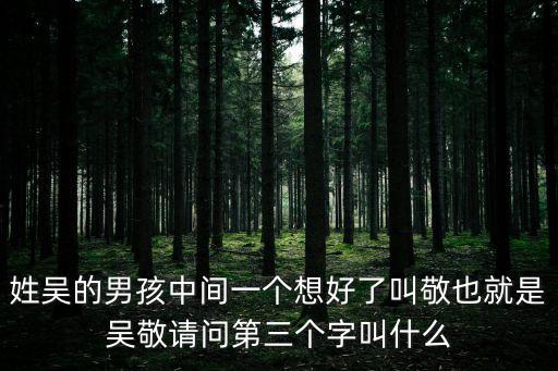 姓吳的男孩中間一個想好了叫敬也就是吳敬請問第三個字叫什么