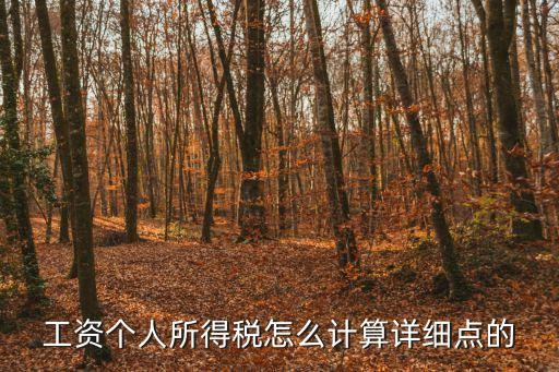 工資個人所得稅怎么計算詳細點的