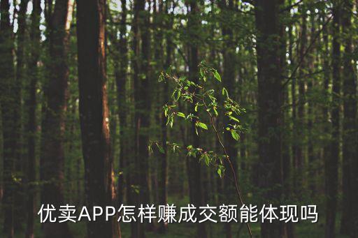 優(yōu)賣(mài)APP怎樣賺成交額能體現(xiàn)嗎
